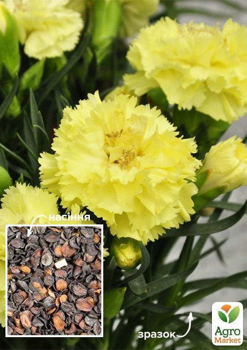 Гвоздика Шабо "Желтая" (Зипер) ТМ "Весна" 0,5г