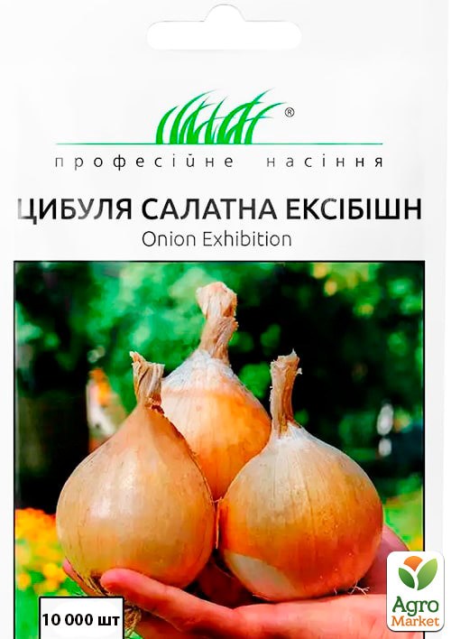 Лук репчатый "Эксибишен" ТМ "Bejo Zaden" 10 000шт