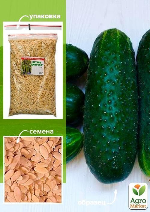 Огірок "Джерело" ТМ "Весна" 500г