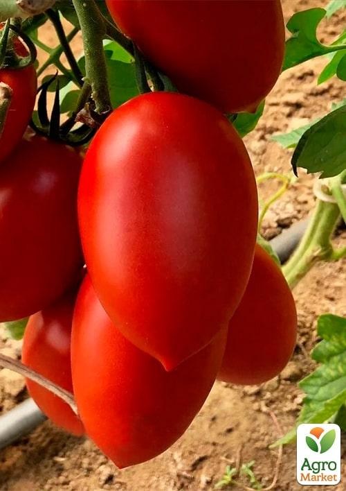 Томат індетермінантний "Ельза F1" ТМ "Lark Seeds" 1000шт