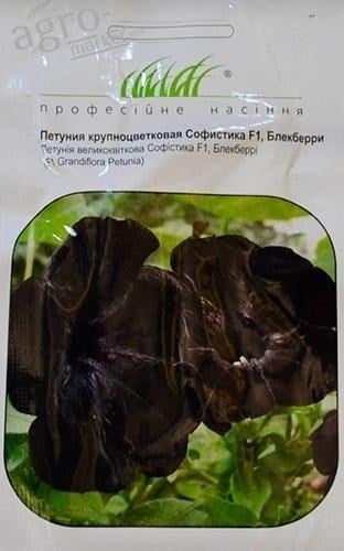 Петунія "Софістика Блекбері F1" ТМ "Hem Zaden" 8шт