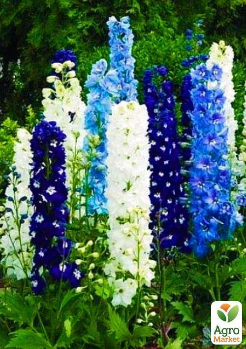 Дельфиниум "Многолетний" (Зипер) ТМ "Весна" 1г - фото 3