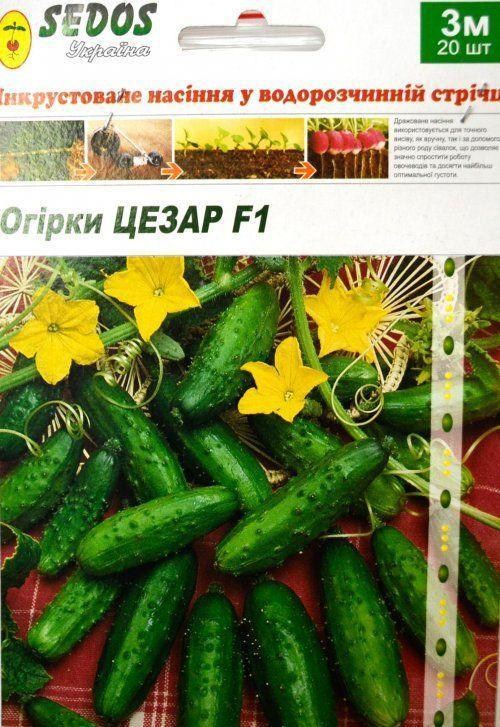 Огурец "Цезарь F1" ТМ "Sedos" 3м 20шт