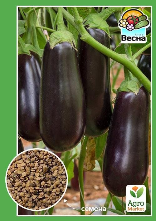 Баклажан "Бегемот" ТМ "Весна" 0.2г