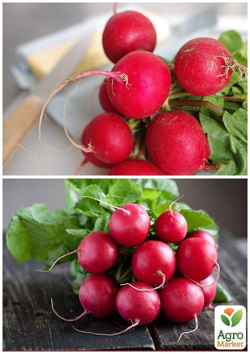 На развес Редис "Сакса" ТМ "Весна" цена за 10г - фото 3