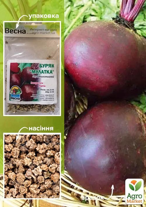 Свекла "Мулатка" (Зипер) ТМ "Весна" 6г