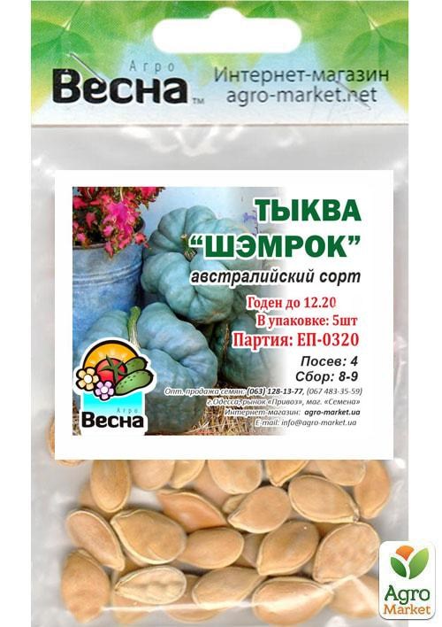 Тыква "Шэмрок" (Зипер) ТМ "Весна" 5шт - фото 2