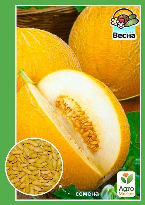Диня "Цукрова пудра" (Новий пакет) ТМ "Весна" 1.5г