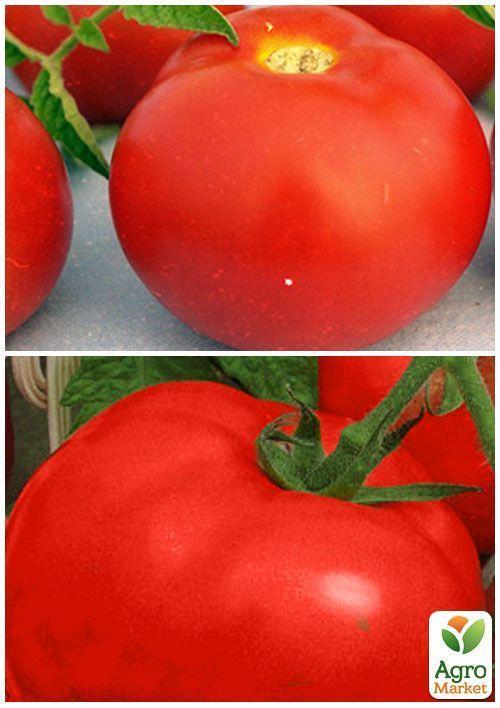 На развес Томат "Агата" ТМ "Весна" цена за 1г - фото 3