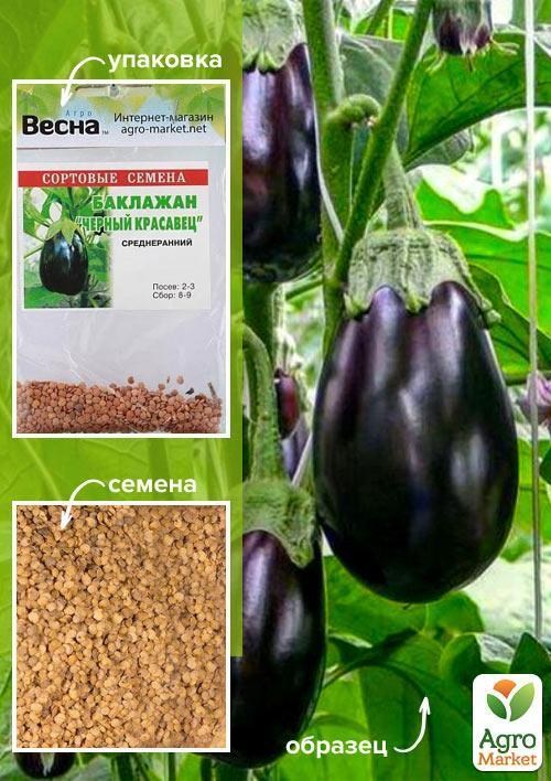 Баклажан "Чорний красень" (Зипер) ТМ "Весна" 1г