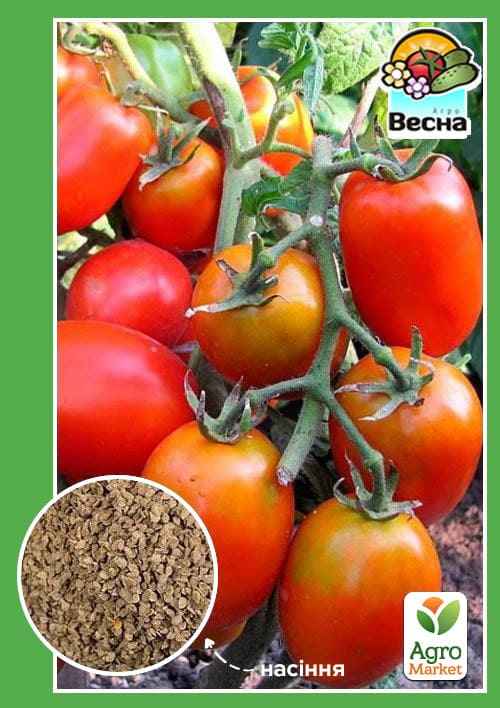 Томат "Фитофтороустойчивый" ТМ "Весна" 0.2г