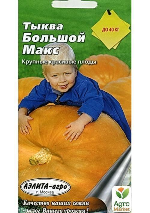 Тыква "Большой Макс" ТМ "Аэлита" 1г