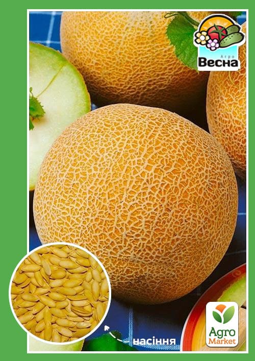 Диня "Колгоспниця" ТМ "Весна" 1.5г