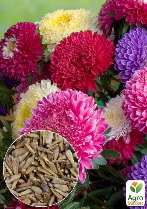 На вагу Айстра півоновидна суміш ТМ "Весна" ціна за 1,5г