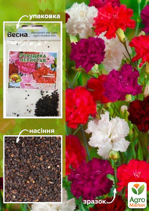Гвоздика "Периста суміш" (Зипер) ТМ "Весна" 1г