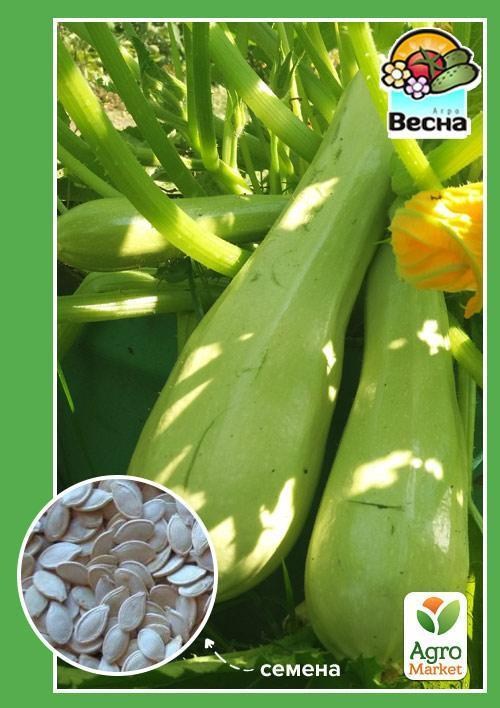 Кабачок "Дядя Стьопа" (Новий пакет) ТМ "Весна" 2г