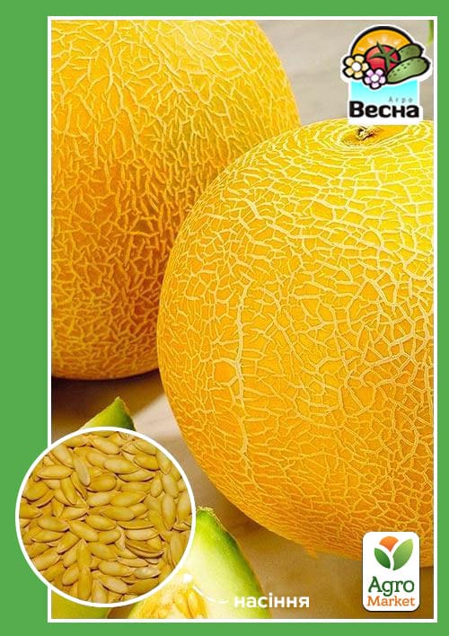 Диня "Дубівка" ТМ "Весна" 1.5г