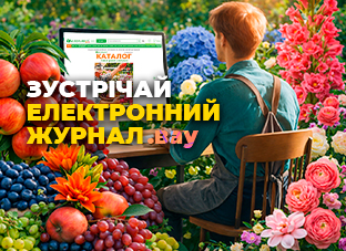 Зустрічайте електронний журнал!