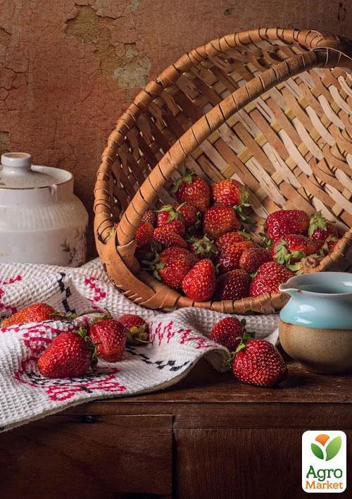 Полуниця "Кебот" (Cabot) (пізній термін дозрівання, має тривалий термін зберігання) - фото 8