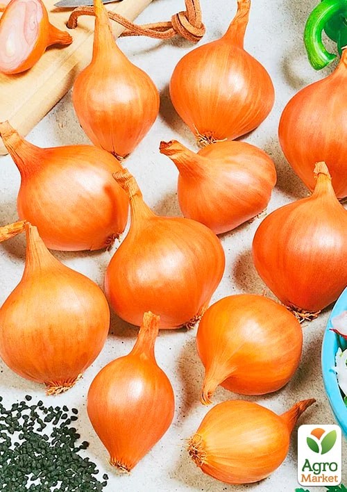 Цибуля "Супра" ТМ "Весна" 2г - фото 2