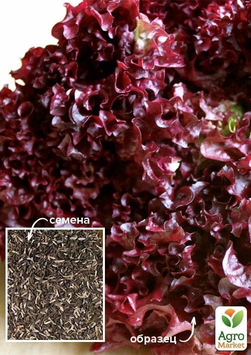 На развес Салат "Сезон чудес" ТМ "Весна" цена за 5г