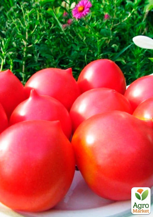 На вагу Томат "Крон Принц" ТМ "Весна" ціна за 1г - фото 2