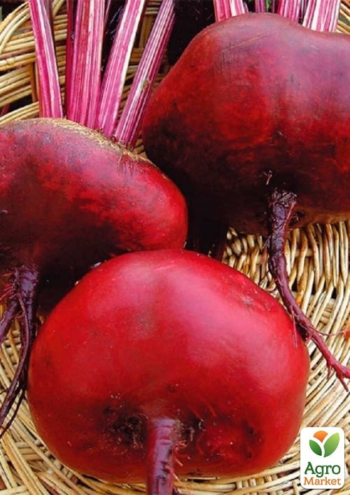 На вагу Буряк "Єгипос" ТМ "Весна" ціна за 10г - фото 2