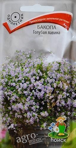 Бакопа "Блакитна лавина" ТМ "Пошук" 5шт