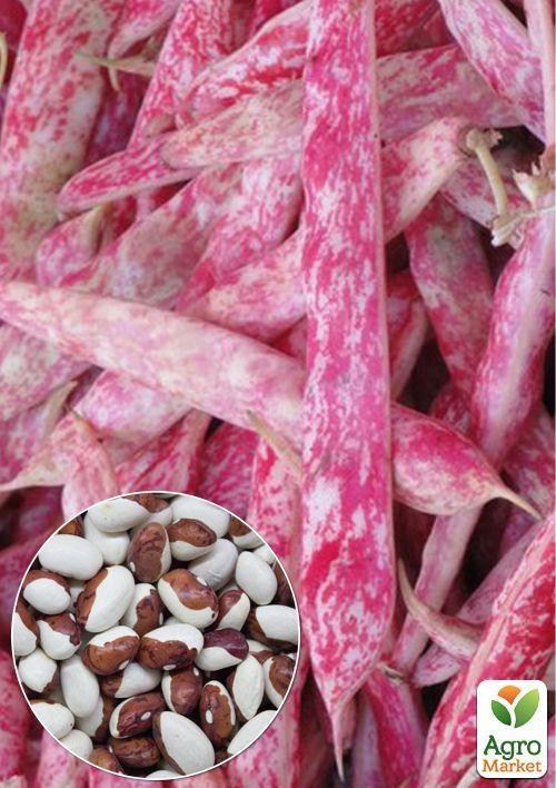 На развес Фасоль "Красная шапочка" ТМ "Весна" цена за 20г