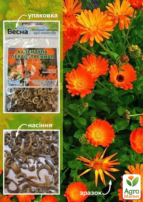 Календула "Лікарська" (Зипер) ТМ "Весна" 2г