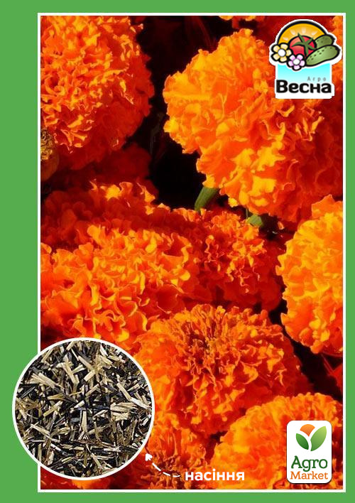 Чорнобривці "Оранж" ТМ "Весна" 0.3г
