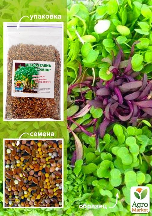 Микрозелень "Смесь" ТМ "Весна" 100г