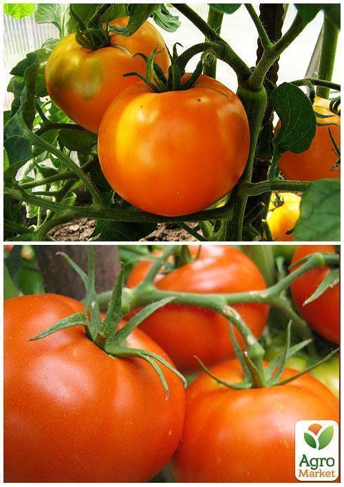 На вагу Томат "Персик" ТМ "Весна" ціна за 1г - фото 2