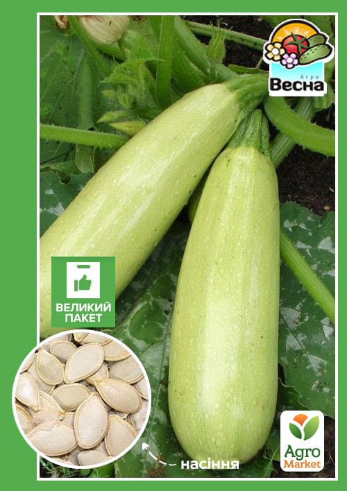 Кабачок "Грибовський 37" (Великий пакет) ТМ "Весна" 4г