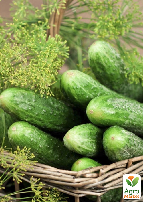На развес Огурец "Малосольный F1" ТМ "Весна" цена за 3г