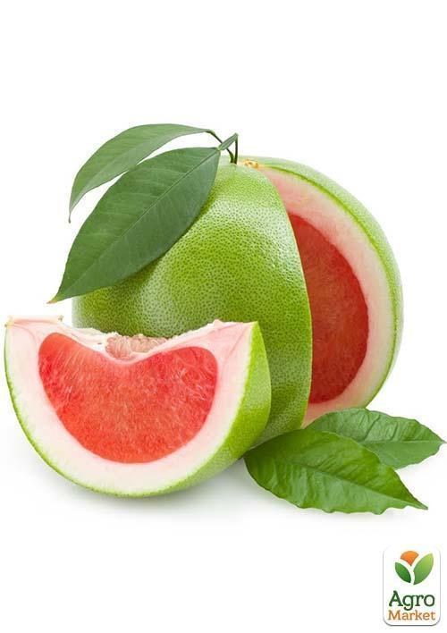 Помело (вік саджанця 2 роки) - фото 3