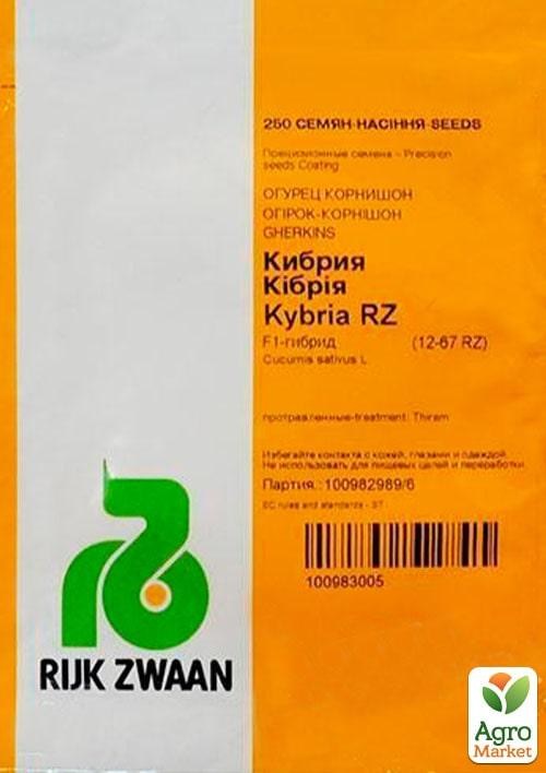 Огурец "Кибрия F1" ТМ "RIJK ZWAAN" 250шт