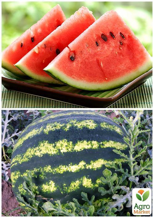 На развес Арбуз "Херсонский" ТМ "Весна" цена за 5г - фото 4