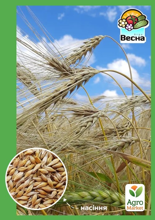 Ячмень озимый "Девятый вал" ТМ "Весна" 10кг