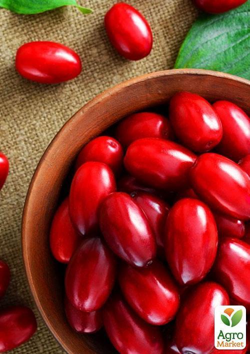 Кизил "Владимирский" (средний срок созревания, крупноплодный сорт)