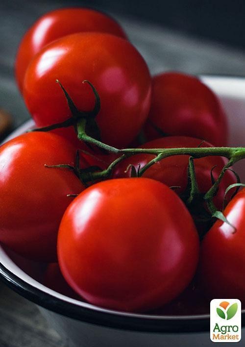 Томат "Крепкий орешек" ТМ "Vesna Select" 0,2г - фото 4