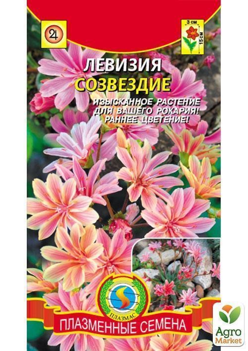 Левізія "Сузір'я" ТМ "Плазмові насіння" 5шт