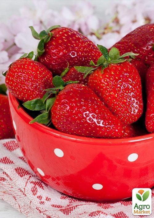 Эксклюзив! Клубника ярко-красная "Делишес" (Delicious) (итальянская селекция, премиальный супер ранний сорт) - фото 9