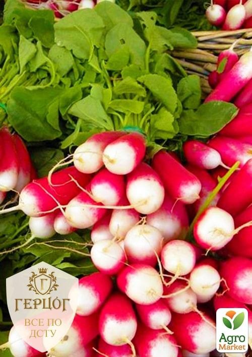 Редис "Герцог" "Французский завтрак" ТМ "Весна" 7г