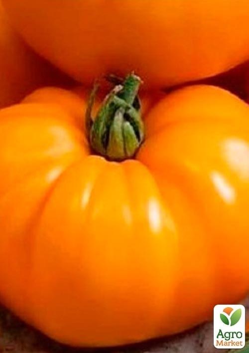 Томат индетерминантный "Еллоу Пешен F1" ТМ "Lark Seeds" 250шт