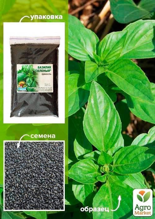 Базилик "Зеленый" ТМ "Весна" 100г