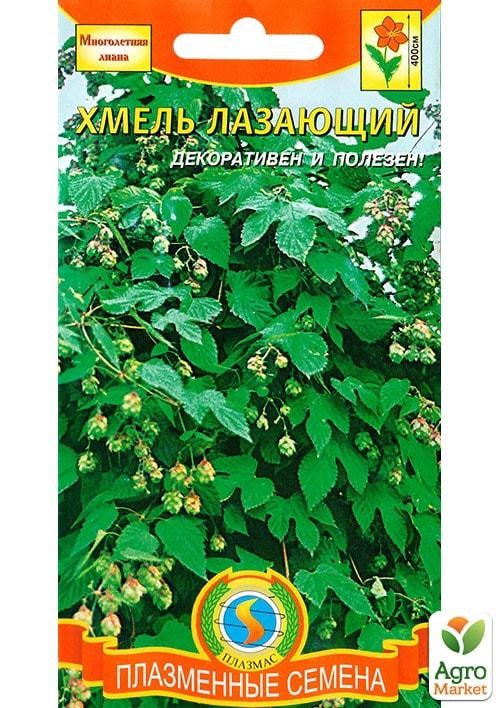 Хмель лазающий ТМ "Плазменные семена" 4шт NEW