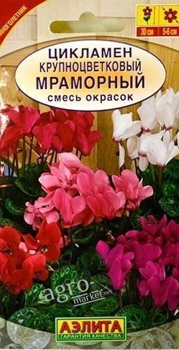Цикламен крупноцветковий "Мармуровий" суміш забарвлень ТМ "Аеліта" 0.05г