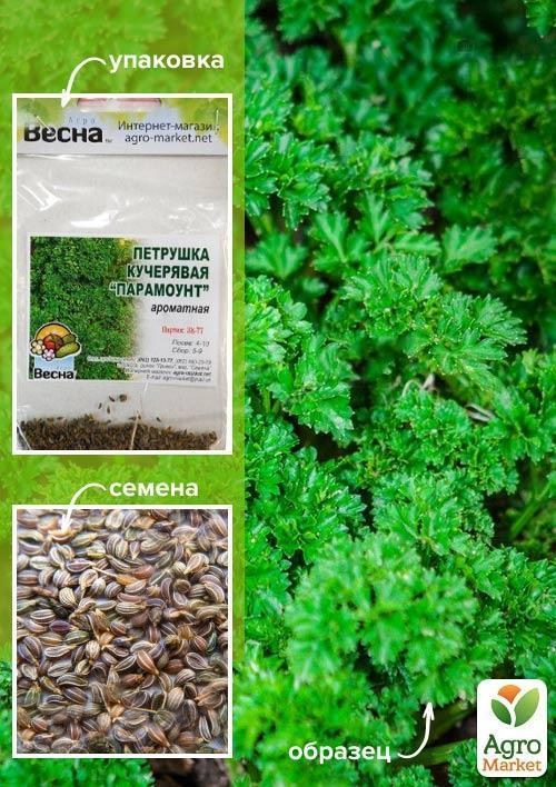Петрушка кучерява "Парамоунт" (Зипер) ТМ "Весна" 3г