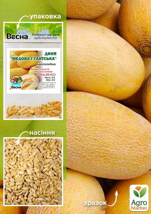 Диня "Медова гігантська" (Зипер) ТМ "Весна" 3г